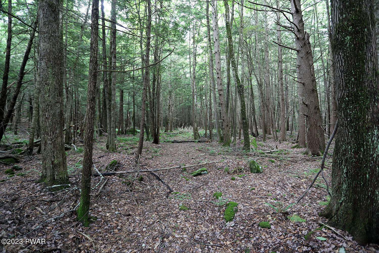 Lot D Spry Road Honesdale, PA 18431 - Photo 11 of 26