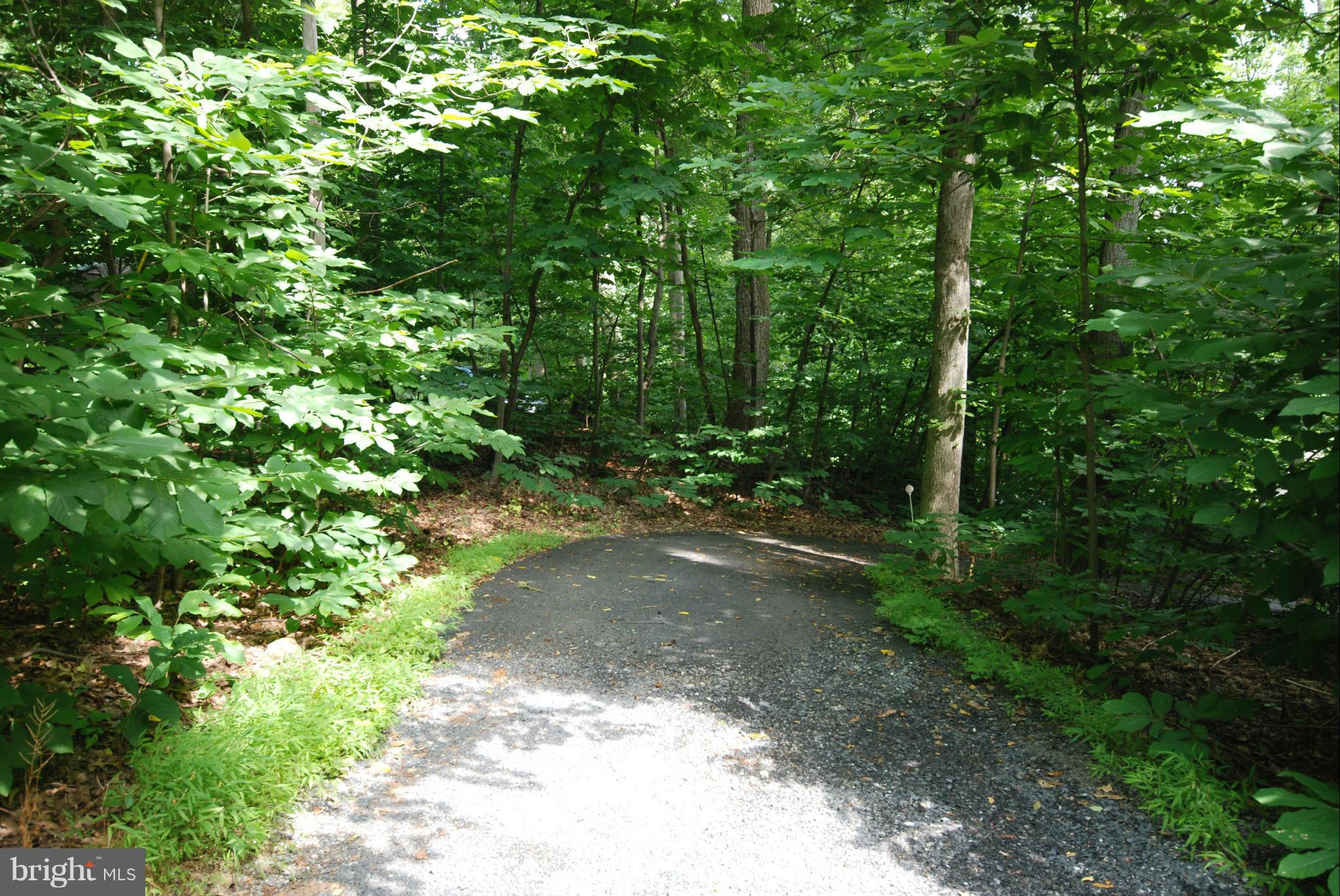 162 Pocahontas Road Front Royal, VA 22630 - Photo 11 of 28 Exterior (General)