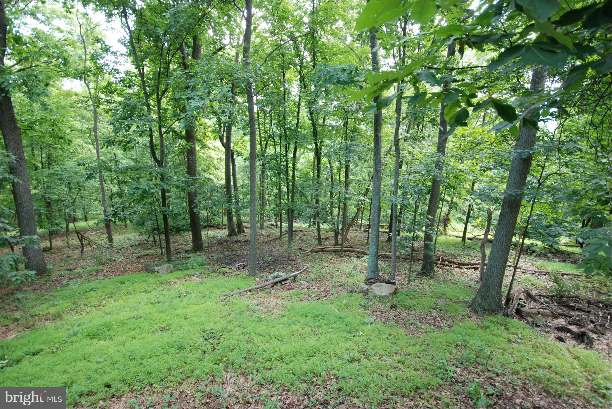 162 Pocahontas Road Front Royal, VA 22630 - Photo 8 of 28 Exterior (General)