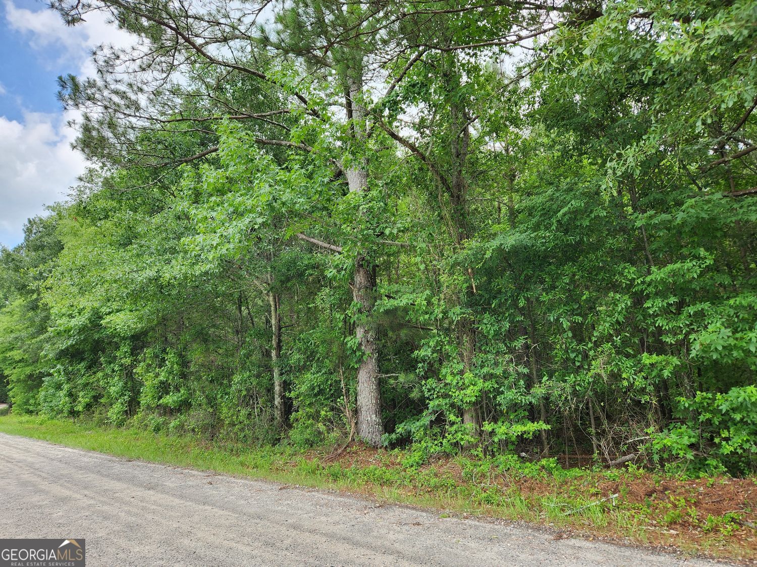 0 Barton Bridge Road, Unit LOT 6 Monroe, GA 30655 - Photo 4 of 5