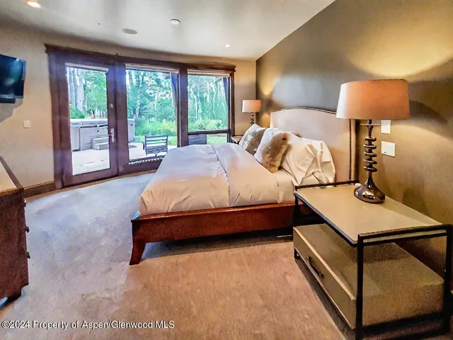 a view of a garden with plants and large trees