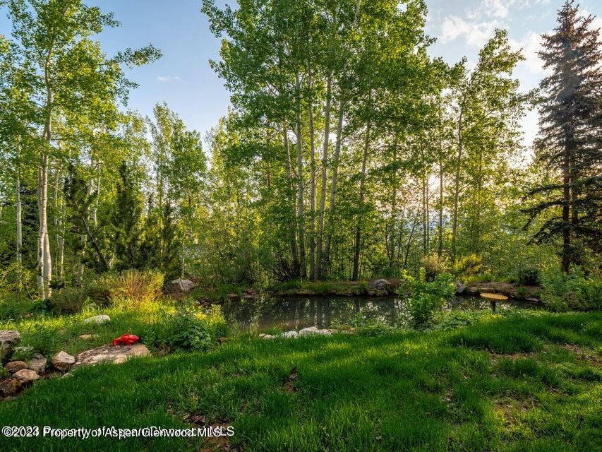 1457 Wood Road Snowmass Village, CO 81615 - Photo 49 of 70 a view of a garden with plants and large trees