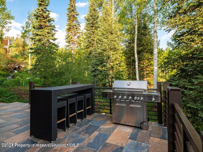 1457 Wood Road Snowmass Village, CO 81615 - Photo 50 of 70 20231213220419677591000000-o