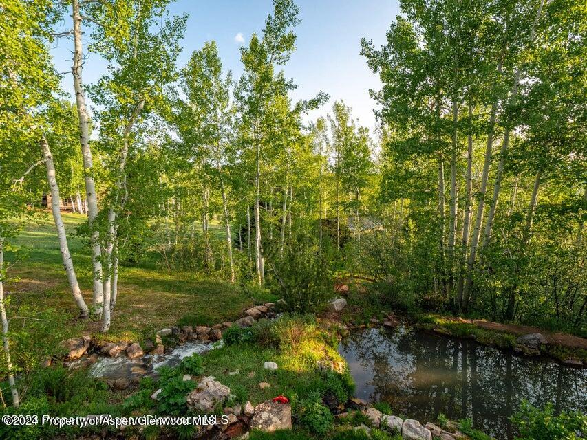 1457 Wood Road Snowmass Village, CO 81615 - Photo 51 of 70 a view of a lake with a large trees