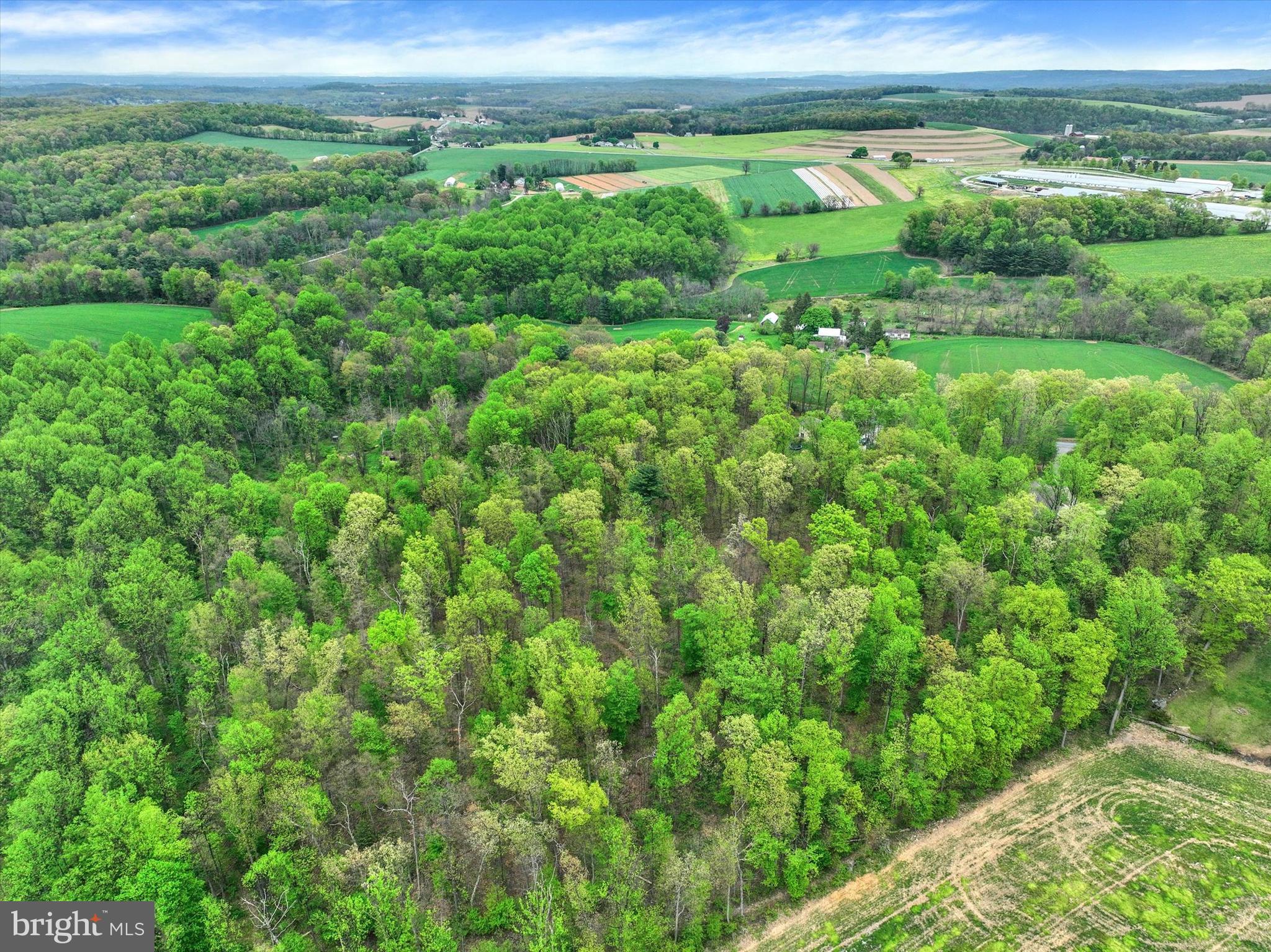 558 Rocky Road Red Lion, PA 17356 - Photo 40 of 45 a view of a lush green forest with lots of trees