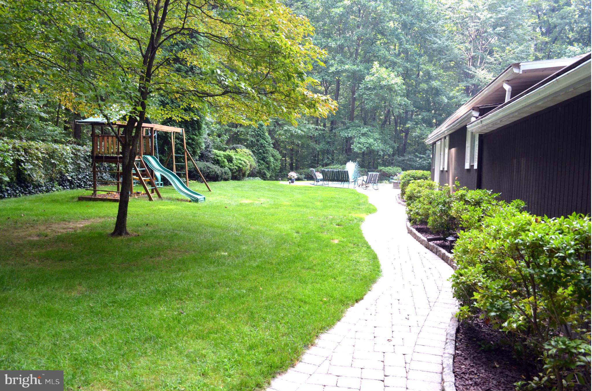 Back Yard!  Awesome!