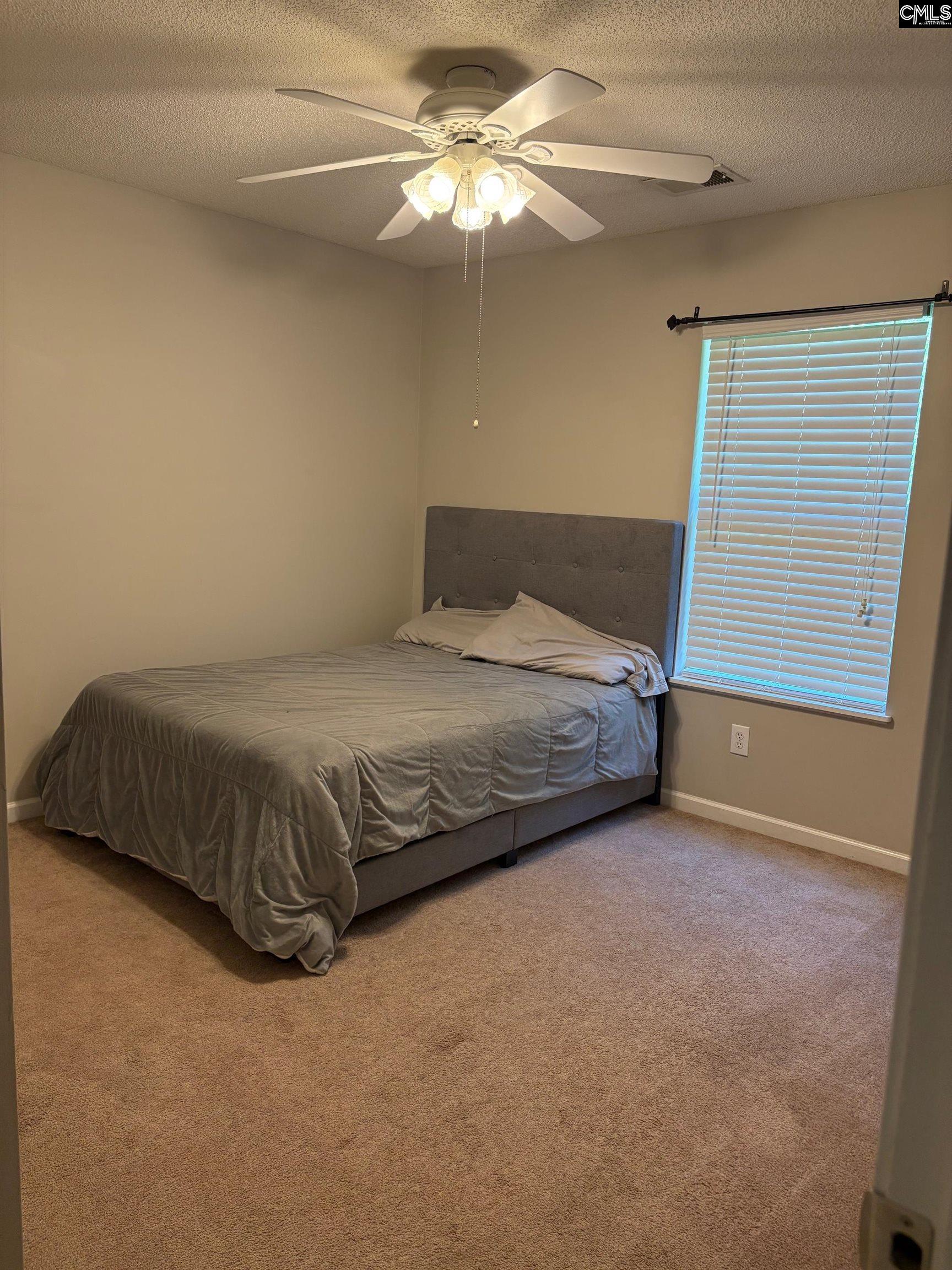 321 Concord Pl Road Irmo, SC 29063 - Photo 17 of 25