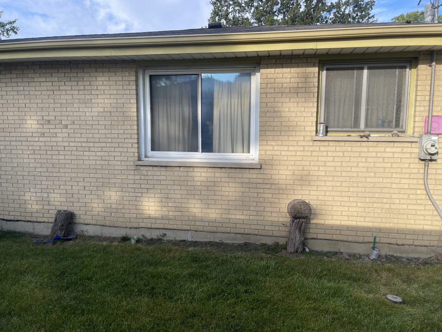 441 East Adams Street Elmhurst, IL 60126 - Photo 3 of 20 a front view of a house with garden