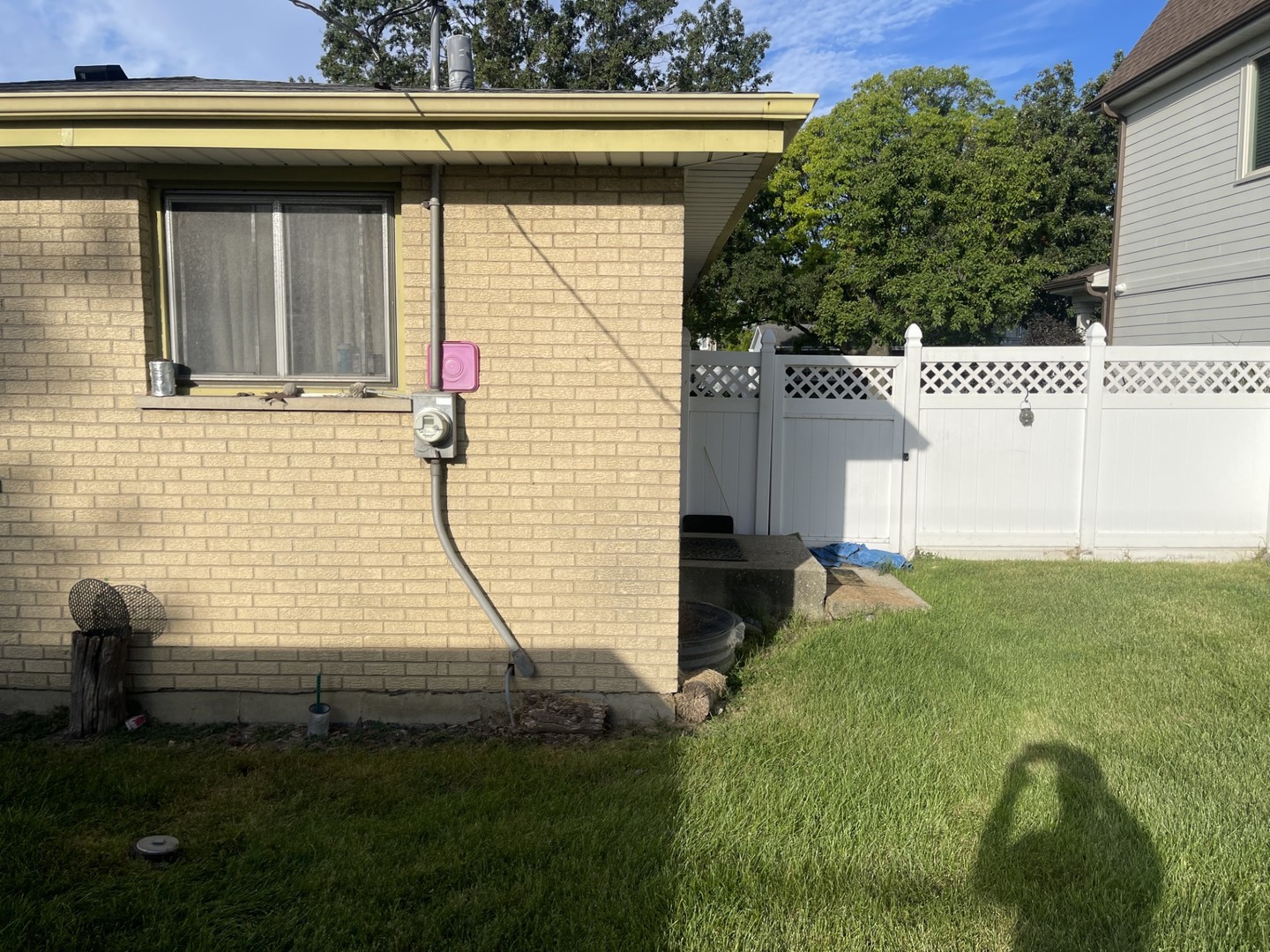 441 East Adams Street Elmhurst, IL 60126 - Photo 4 of 20 a view of house with backyard