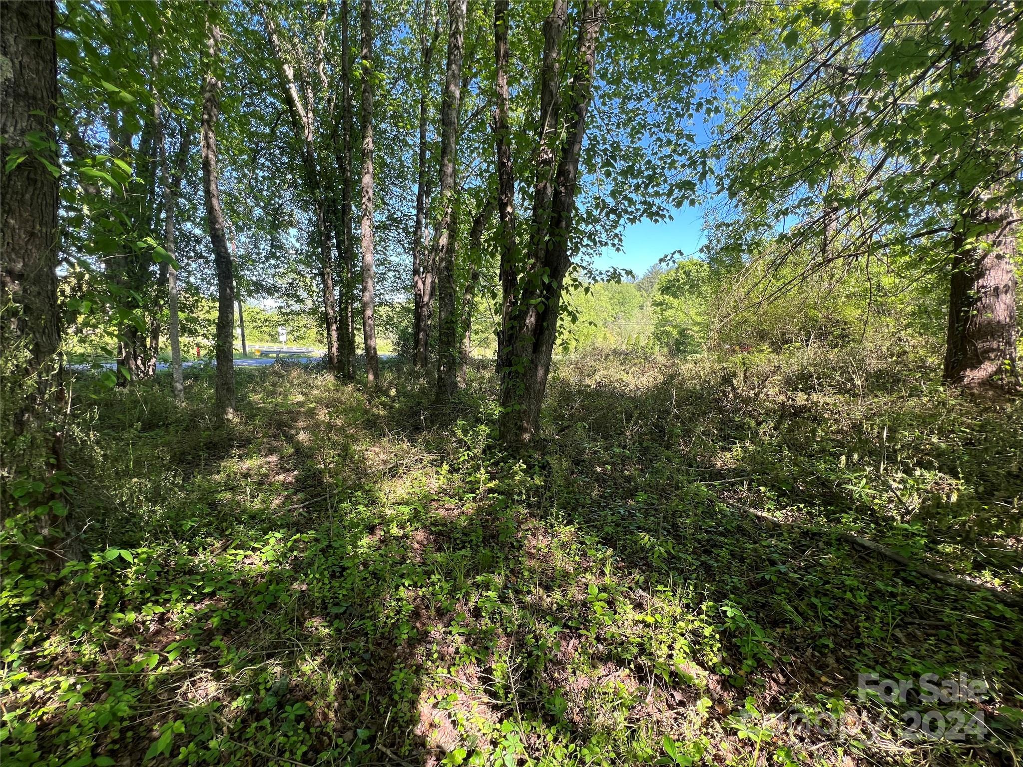 515 Bost Road Morganton, NC 28655 - Photo 4 of 6 Gallery Image 4