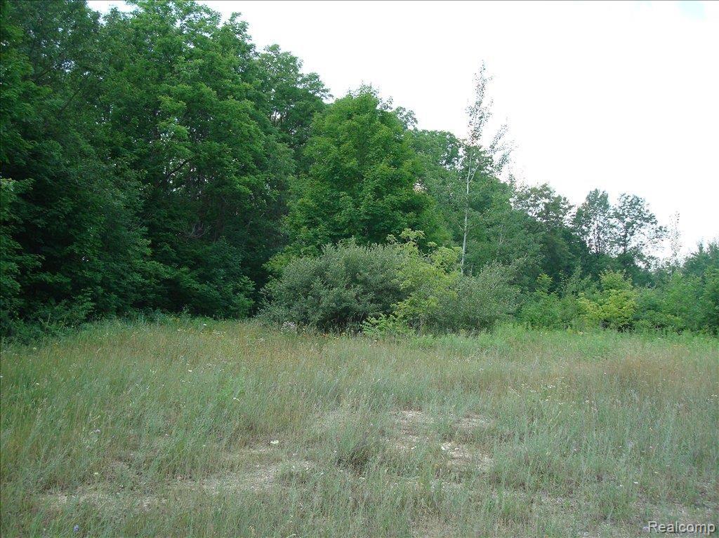 0 32 Mile Road Rochester, MI 48307 - Photo 1 of 1 Beautiful Site