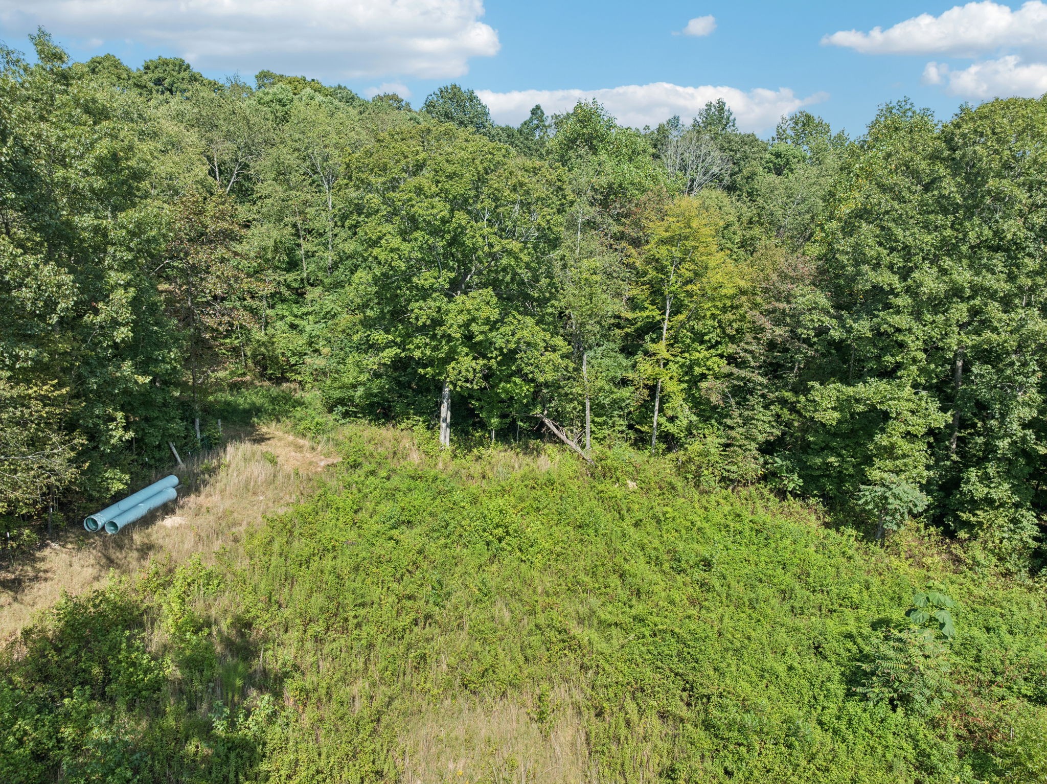 1260 Grays Chapel Road Southside, TN 37171 - Photo 12 of 26 Gallery Image 12