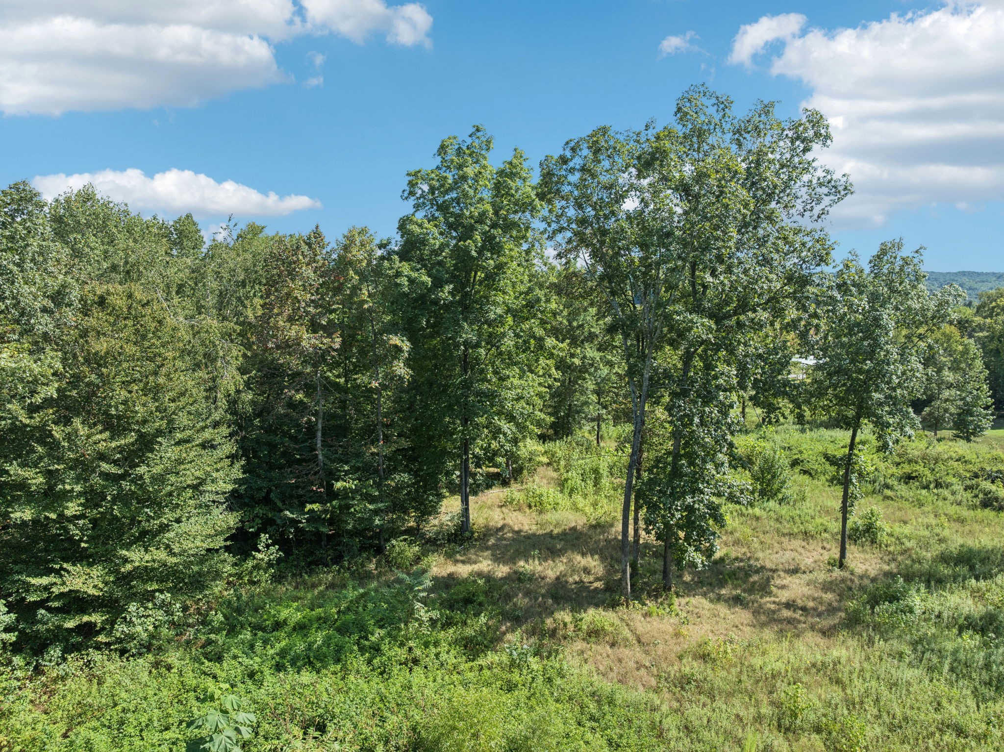 1260 Grays Chapel Road Southside, TN 37171 - Photo 13 of 26 Gallery Image 13