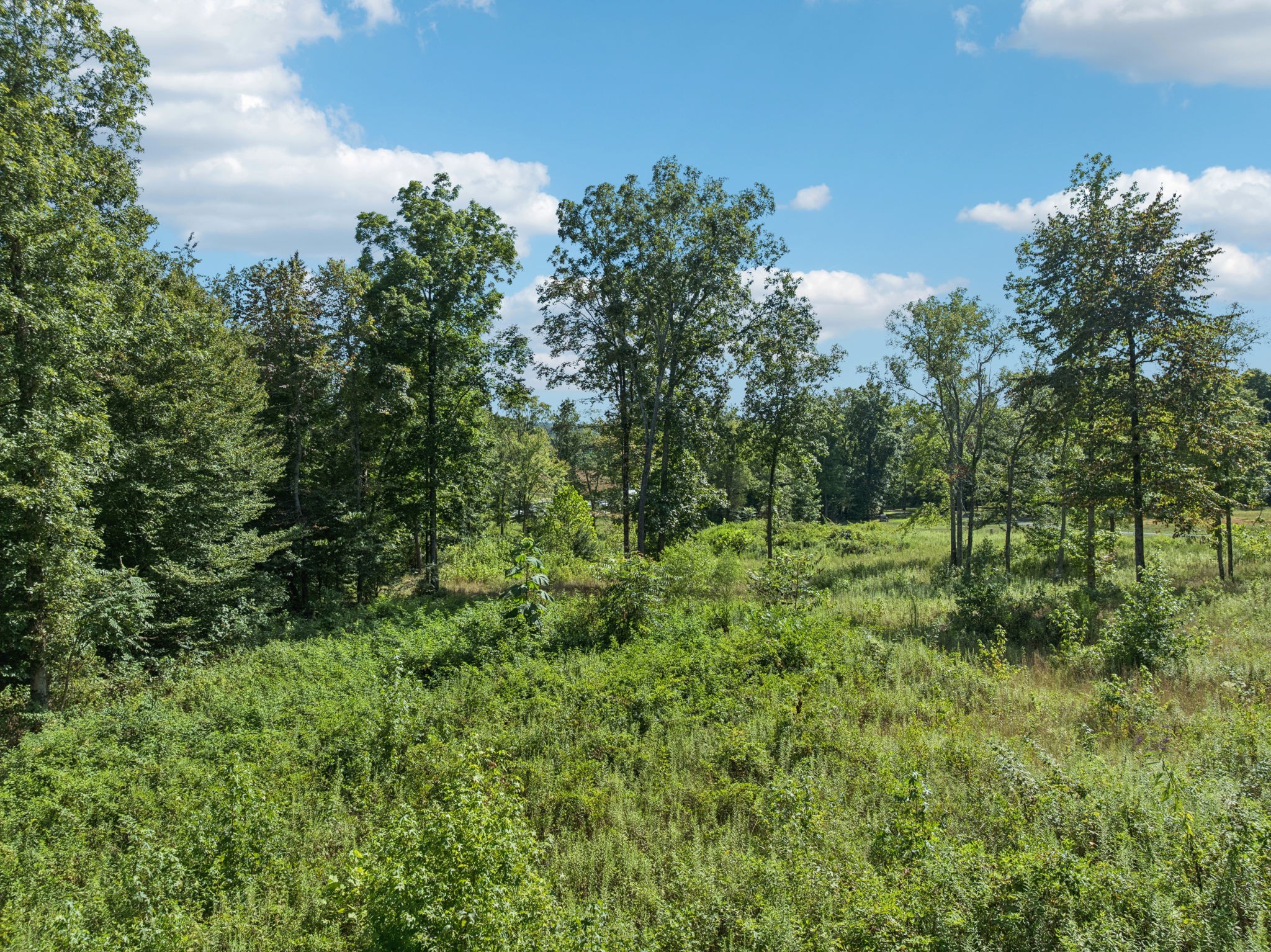 1260 Grays Chapel Road Southside, TN 37171 - Photo 18 of 26 Gallery Image 18