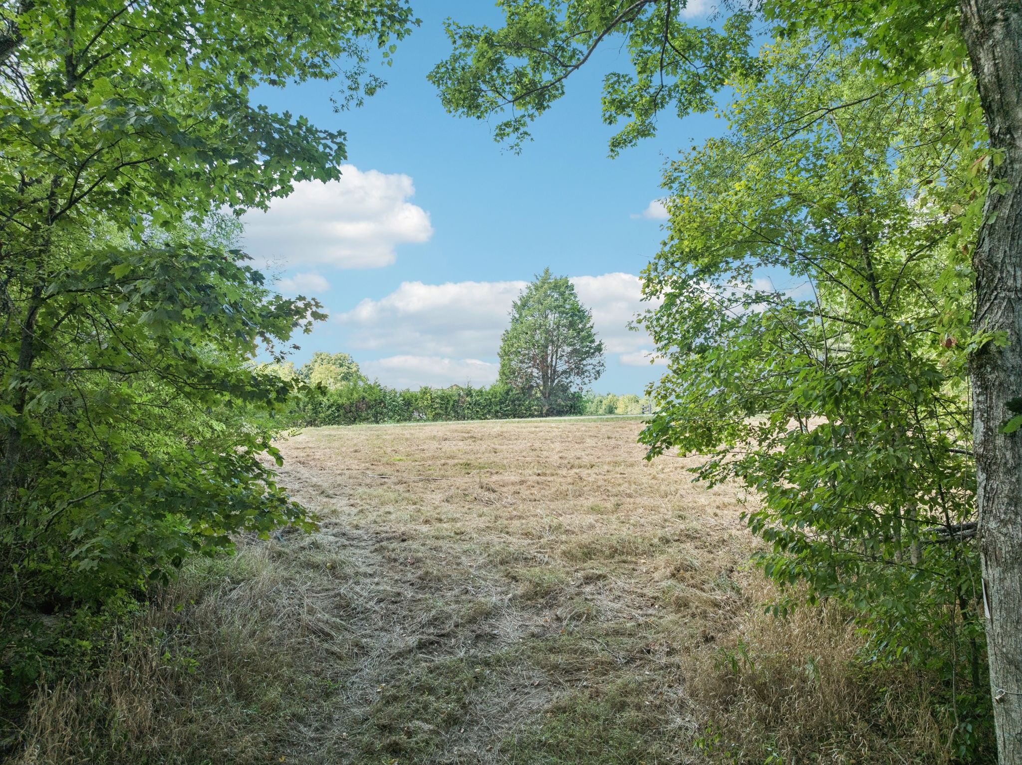 1260 Grays Chapel Road Southside, TN 37171 - Photo 9 of 26 Gallery Image 9