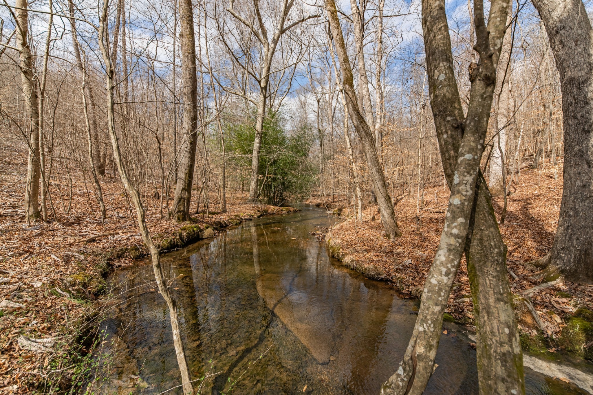 0 Busby Road Loretto, TN 38469 - Photo 17 of 56