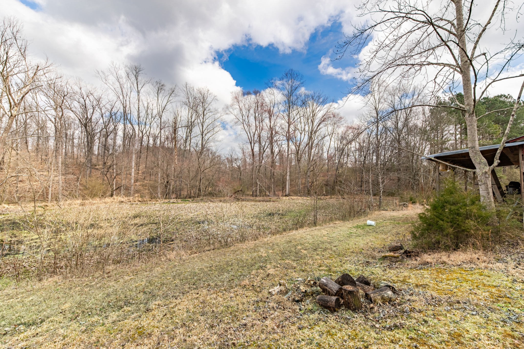 0 Busby Road Loretto, TN 38469 - Photo 29 of 56