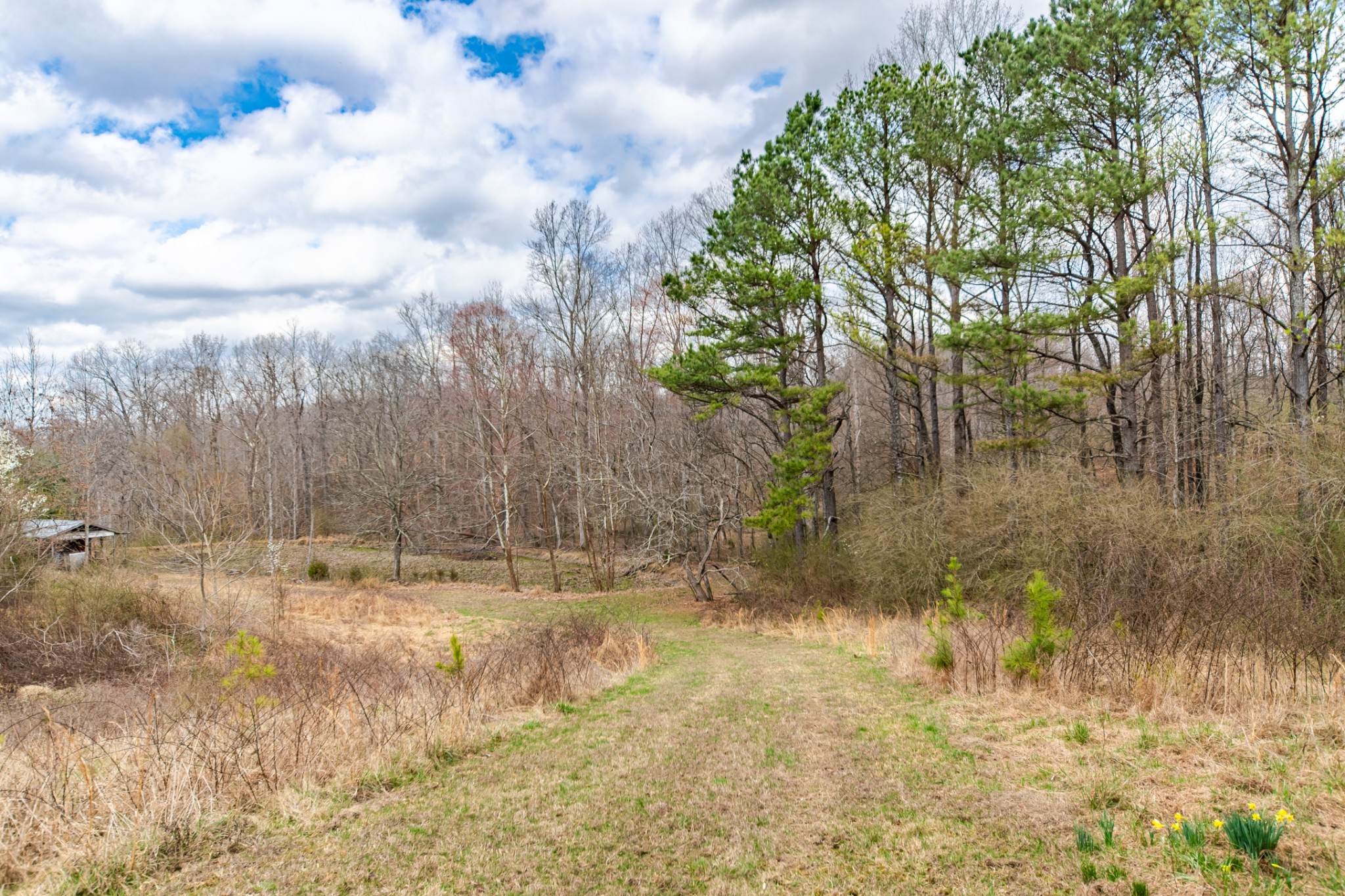 0 Busby Road Loretto, TN 38469 - Photo 33 of 56