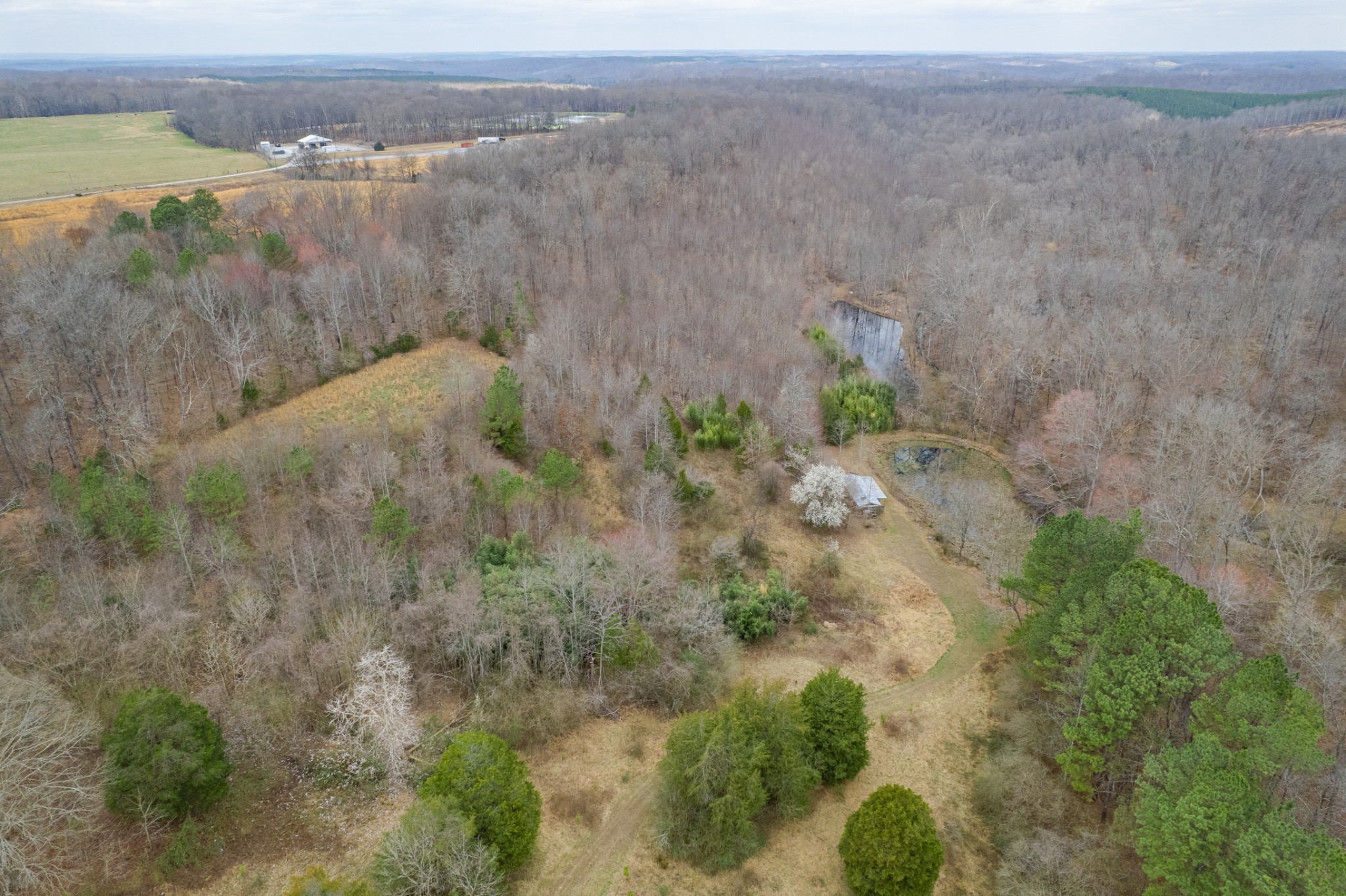 0 Busby Road Loretto, TN 38469 - Photo 41 of 56