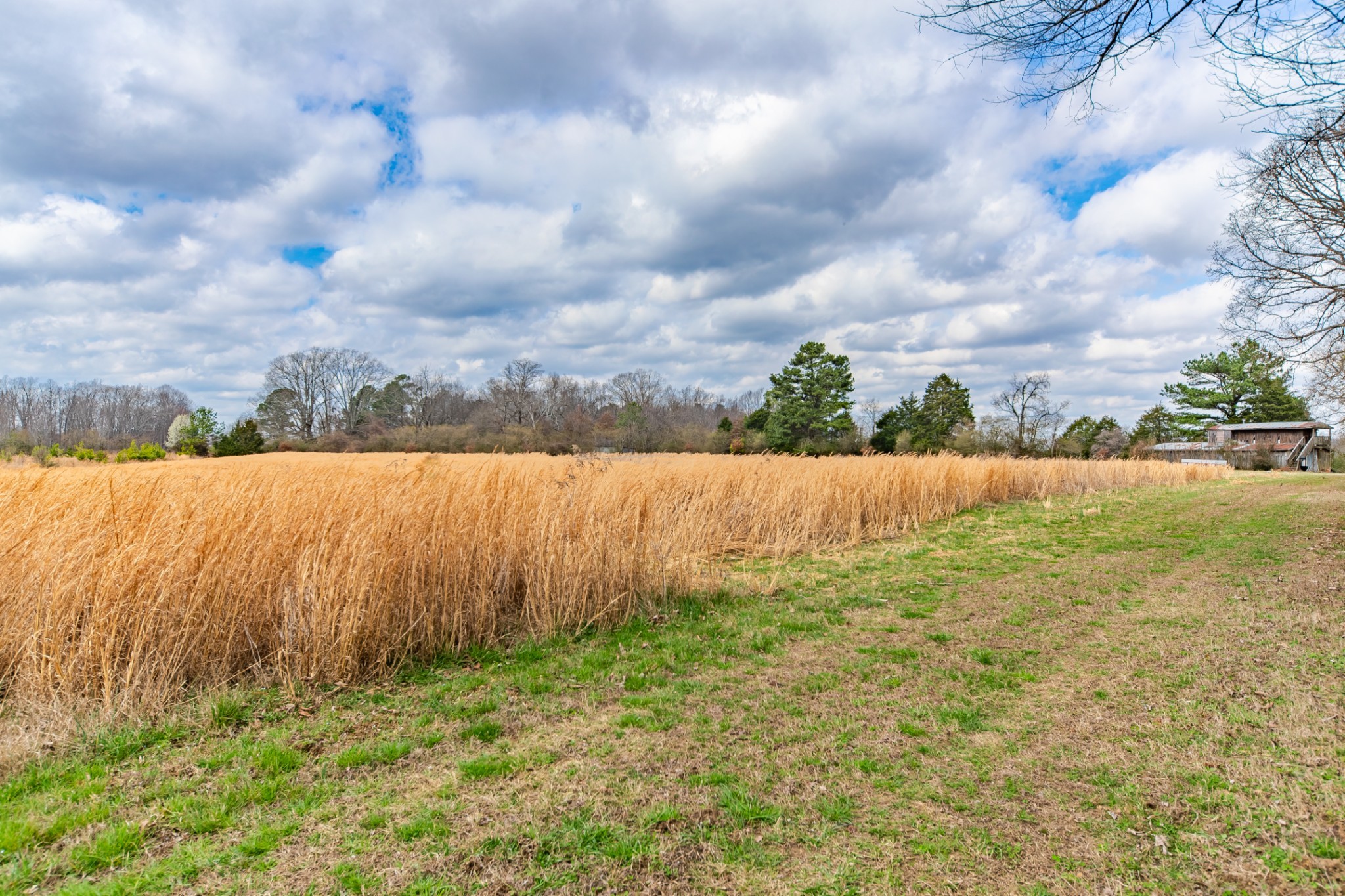 0 Busby Road Loretto, TN 38469 - Photo 5 of 56