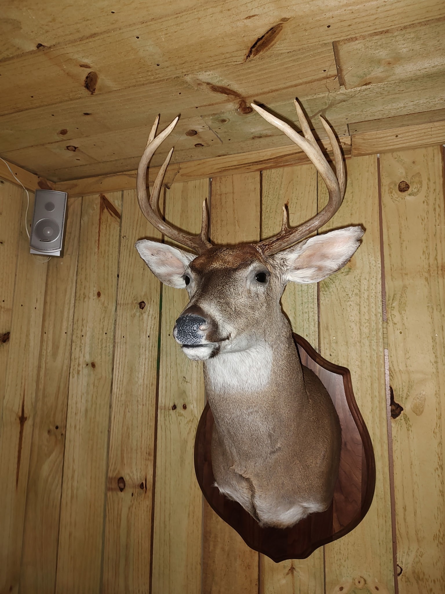 0 Busby Road Loretto, TN 38469 - Photo 54 of 56