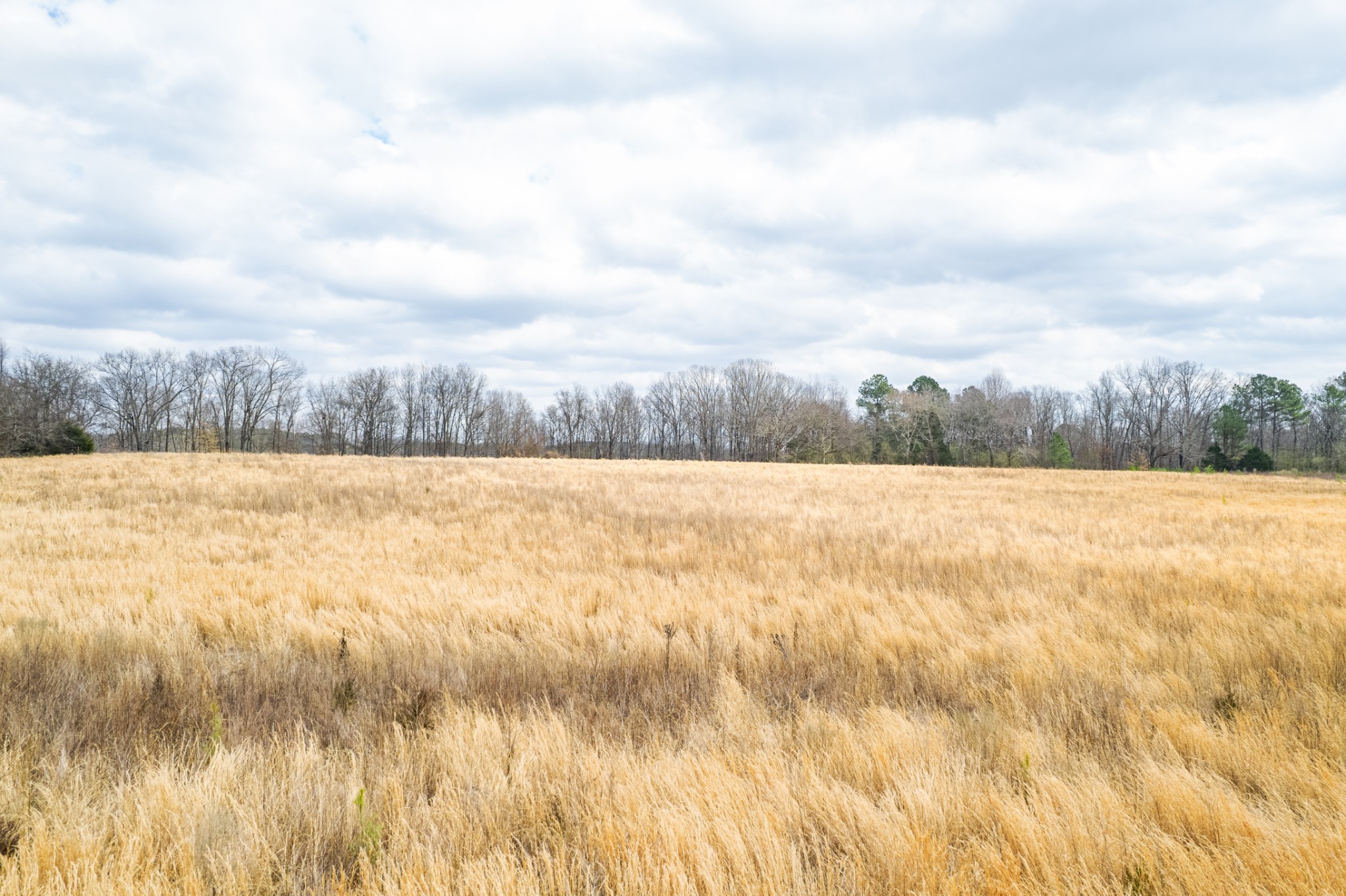0 Busby Road Loretto, TN 38469 - Photo 6 of 56