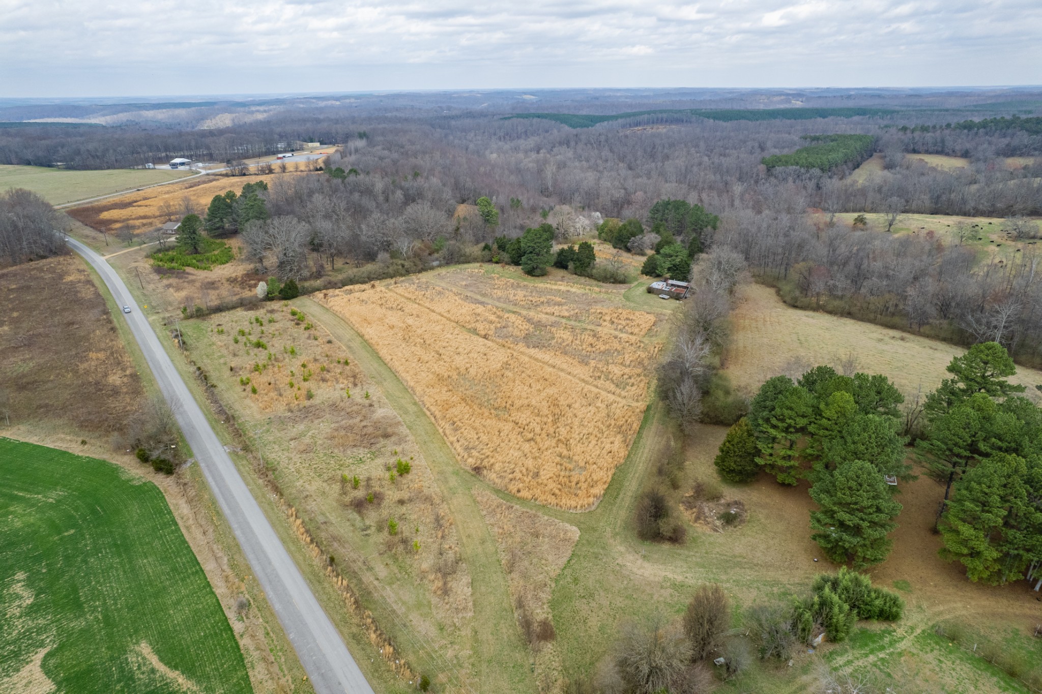 0 Busby Road Loretto, TN 38469 - Photo 8 of 56