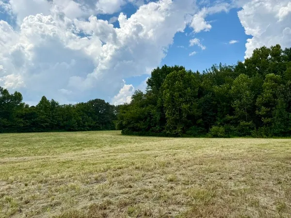a view of basketball court