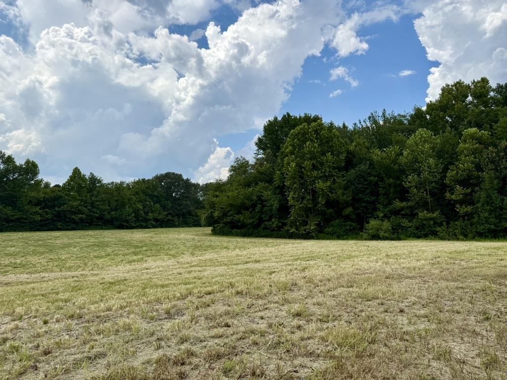 a view of basketball court