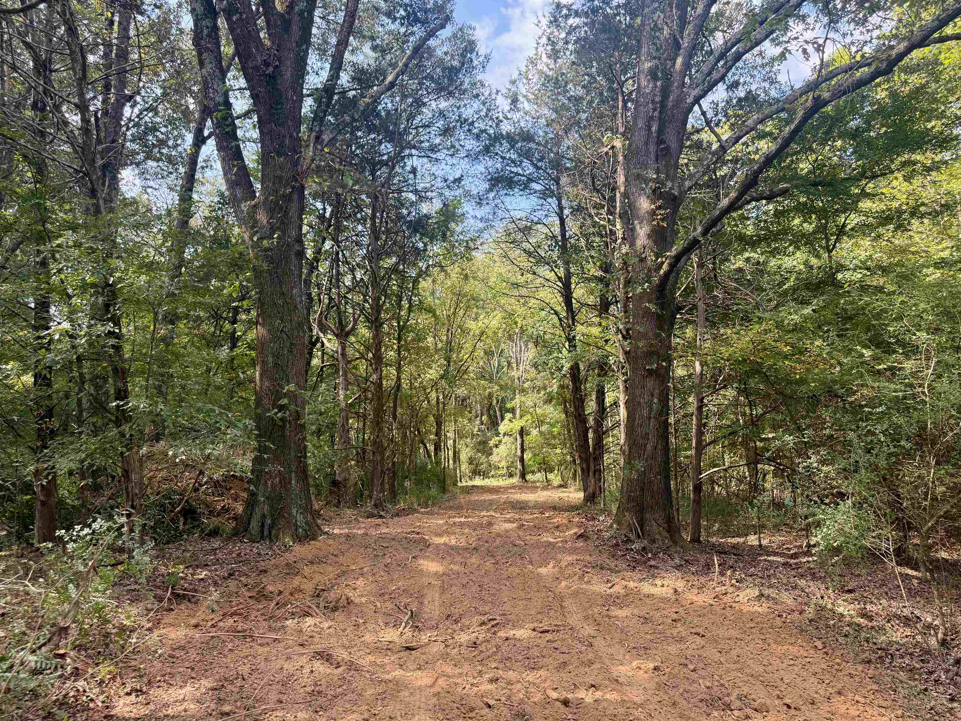 0 Bell Grove Road Eads, TN 38028 - Photo 11 of 16 a view of outdoor space and trees