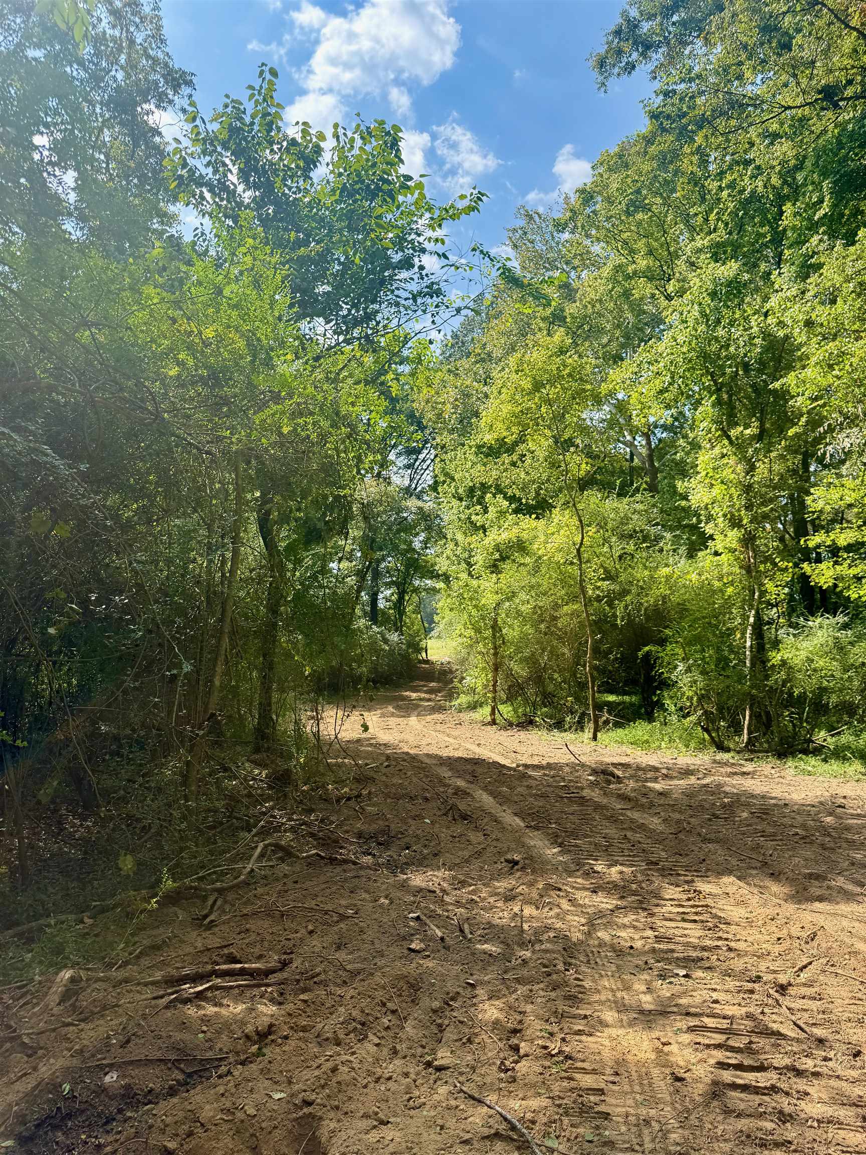 0 Bell Grove Road Eads, TN 38028 - Photo 12 of 16 a backyard of a house with lots of green space