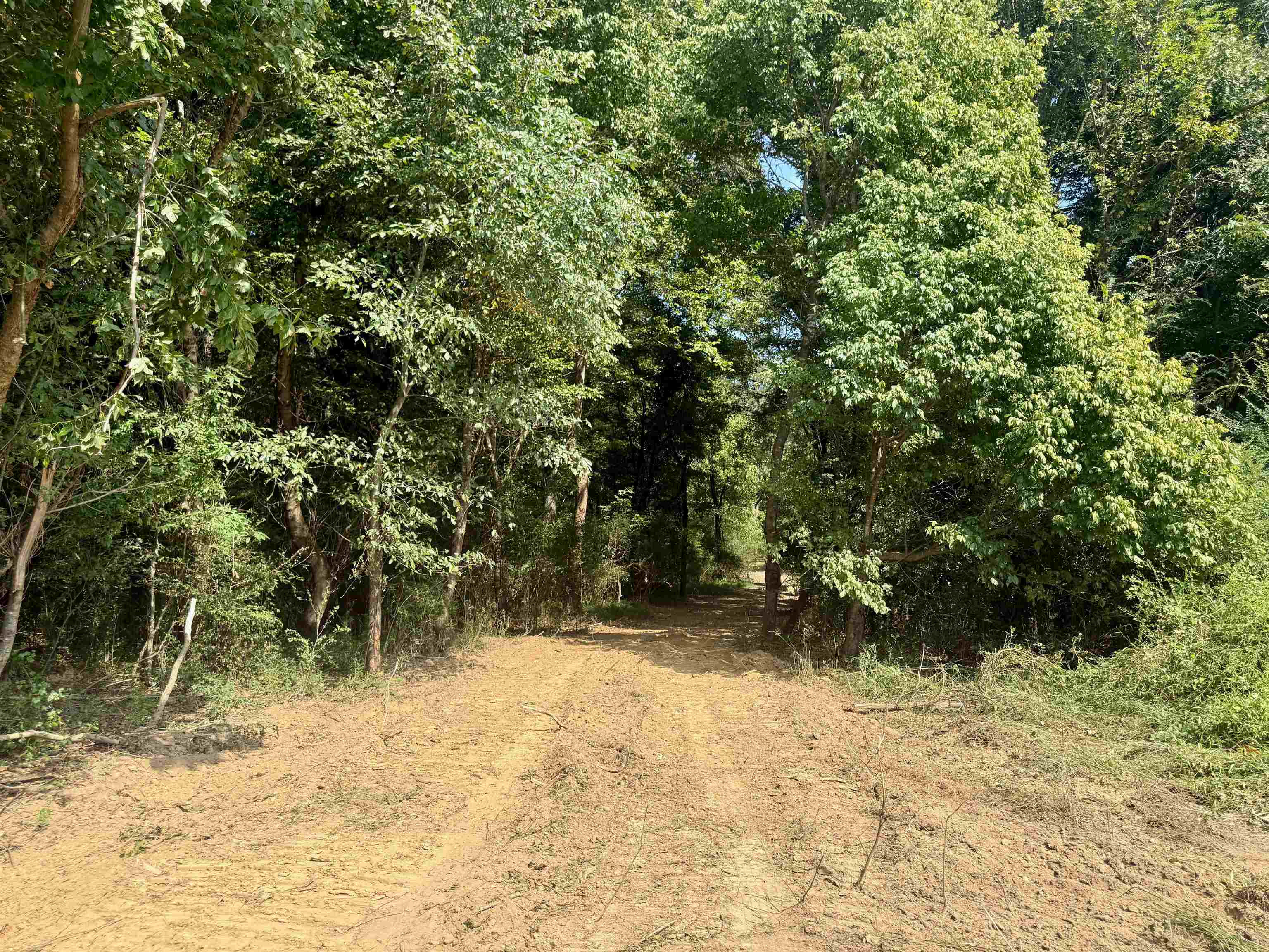 0 Bell Grove Road Eads, TN 38028 - Photo 14 of 16 a view of a yard with large trees