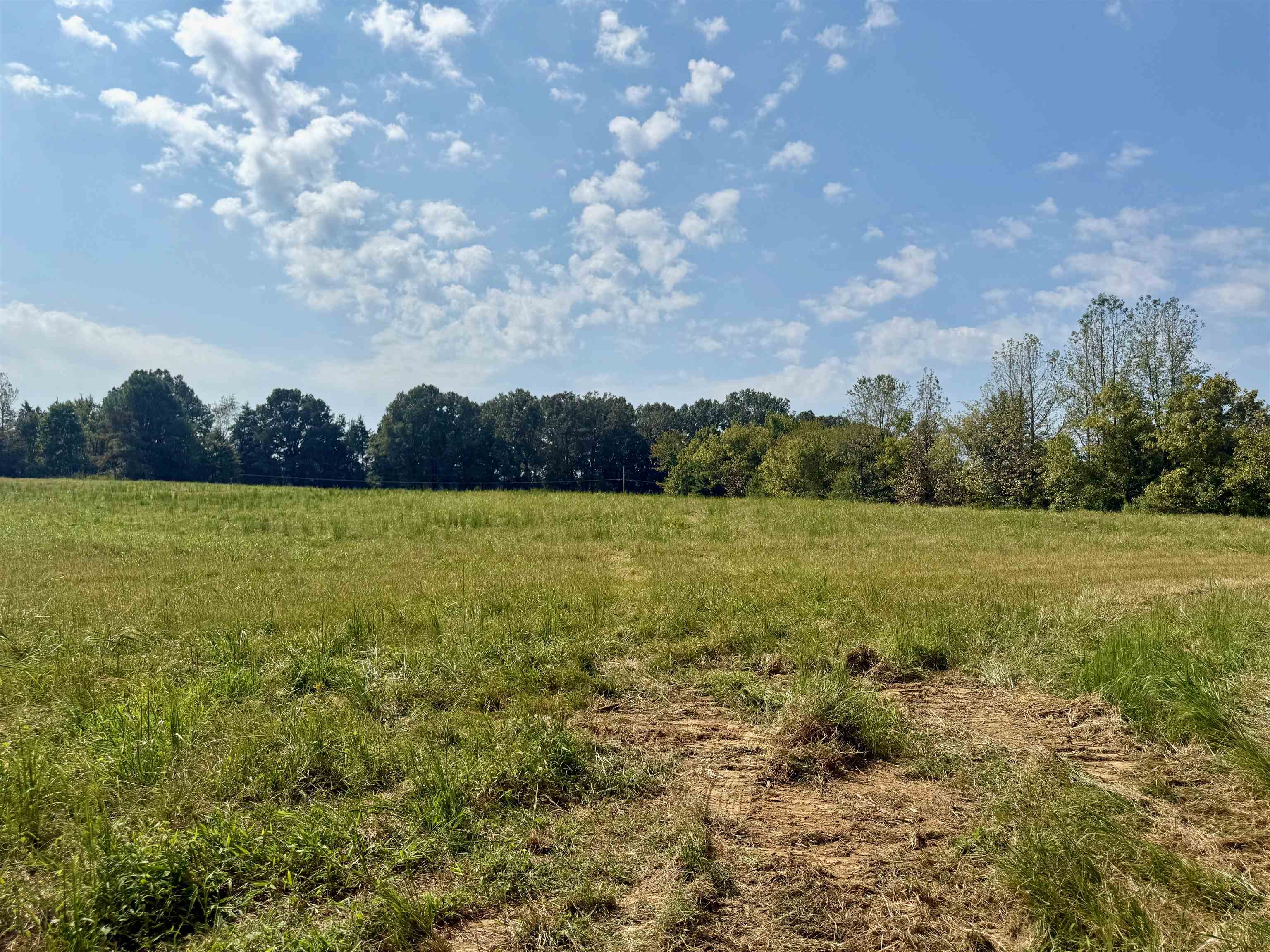 0 Bell Grove Road Eads, TN 38028 - Photo 15 of 16 a view of a lake with houses in the back