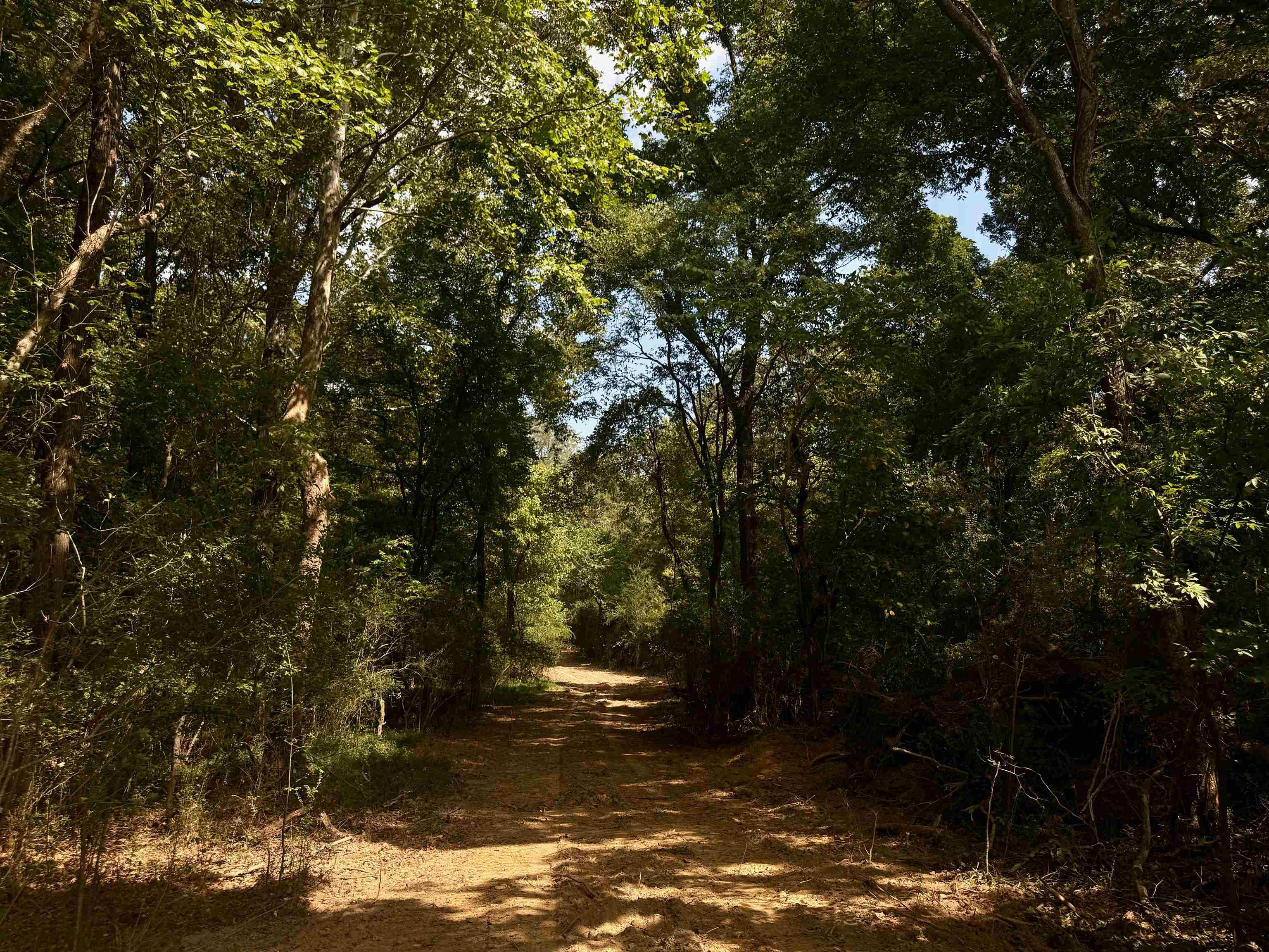 0 Bell Grove Road Eads, TN 38028 - Photo 16 of 16 a view of a lake view