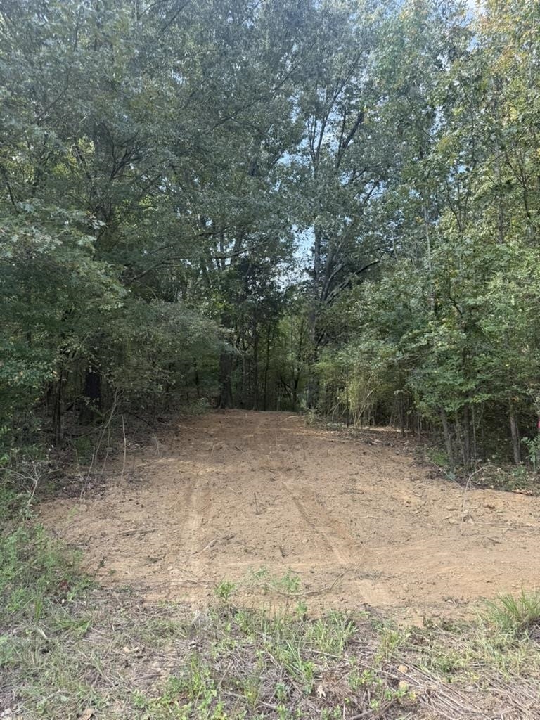 0 Bell Grove Road Eads, TN 38028 - Photo 2 of 16 a view of a yard with a tree