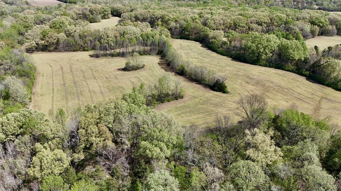 0 Bell Grove Road Eads, TN 38028 - Photo 3 of 16 a view of a bunch of trees and bushes