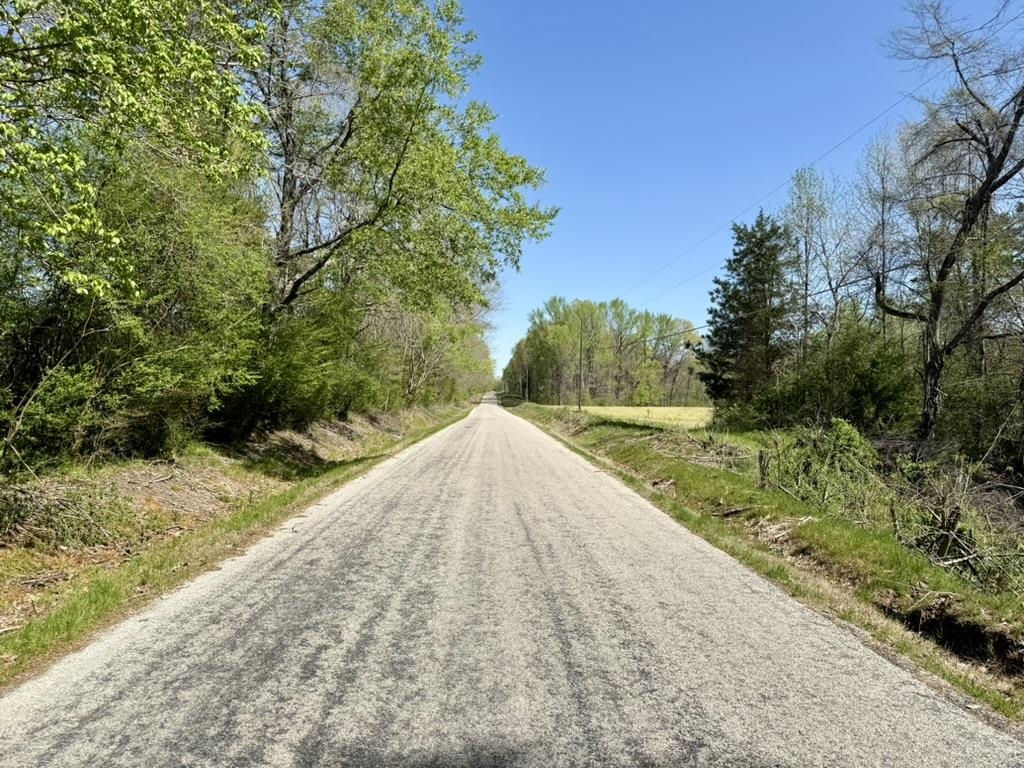 0 Bell Grove Road Eads, TN 38028 - Photo 4 of 16 a view of a yard with an outdoor space