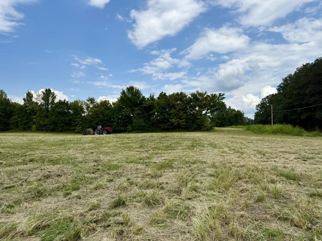 0 Bell Grove Road Eads, TN 38028 - Photo 5 of 16 a view of a field of grass and trees