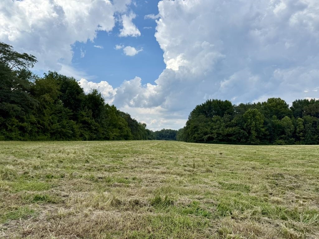 0 Bell Grove Road Eads, TN 38028 - Photo 6 of 16 a view of outdoor space and yard
