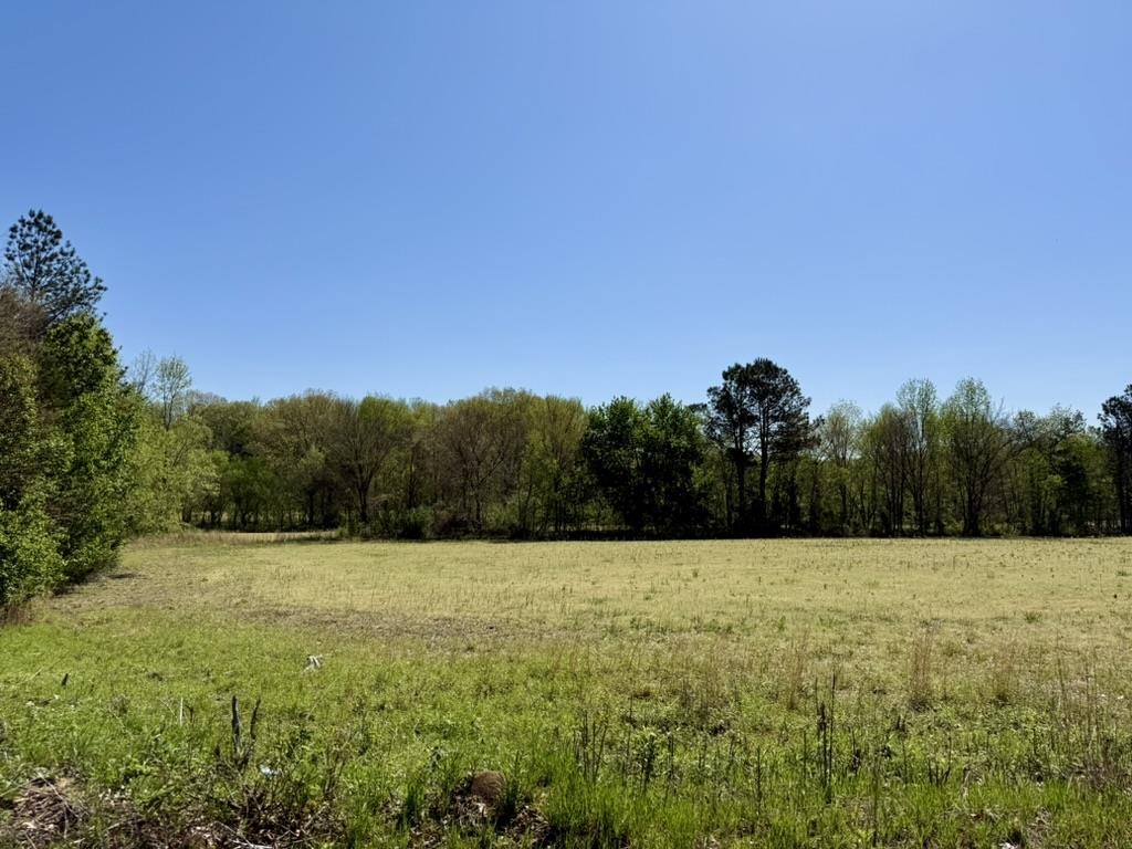 0 Bell Grove Road Eads, TN 38028 - Photo 8 of 16 a view of a with large trees