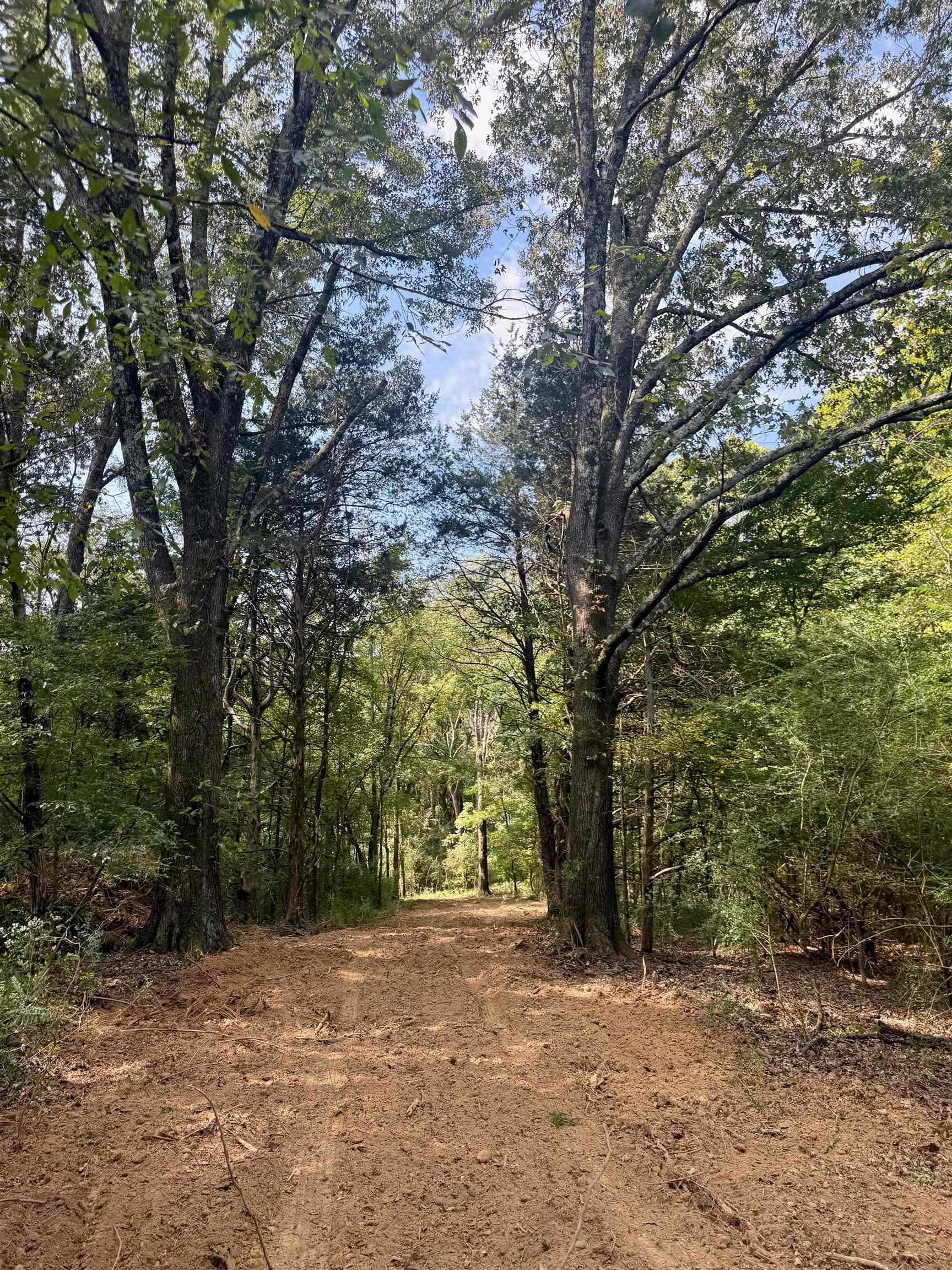 0 Bell Grove Road Eads, TN 38028 - Photo 10 of 16 a view of outdoor space with trees