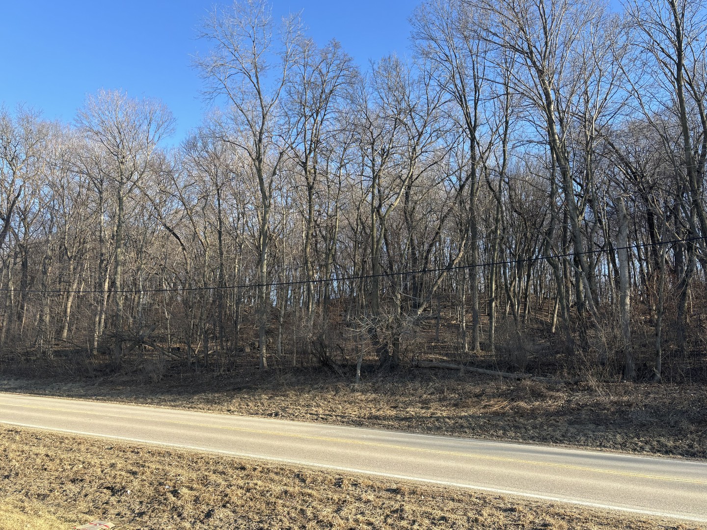 2960 North 2553rd Road Seneca, IL 61360 - Photo 11 of 13 a view of a yard