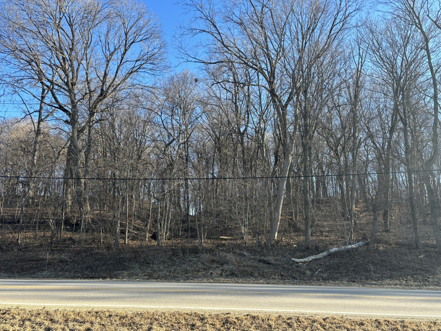 2960 North 2553rd Road Seneca, IL 61360 - Photo 13 of 13 a view of a backyard