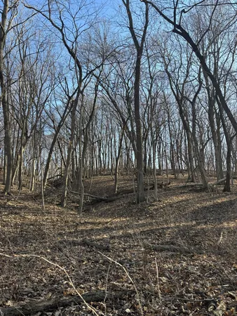a view of backyard with trees
