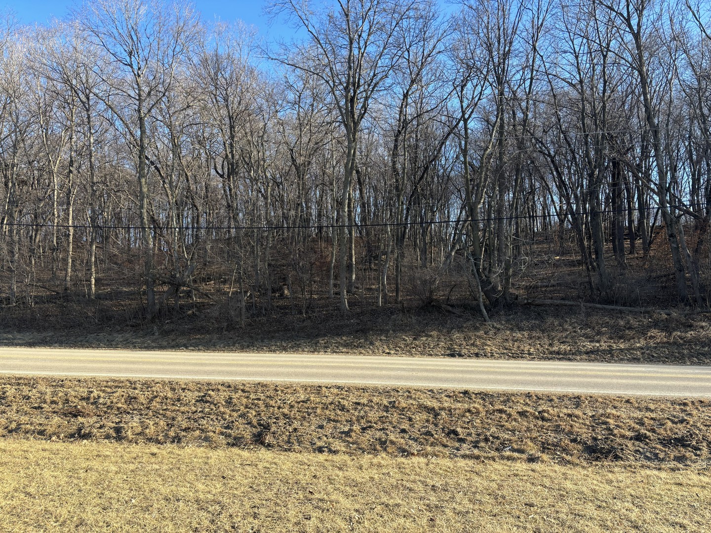 2960 North 2553rd Road Seneca, IL 61360 - Photo 10 of 13 a view of a yard