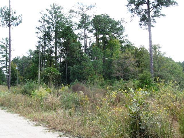 0 Bates Road, Unit TRACT B Concord, GA 30206 - Photo 1 of 1 a view of a lush green forest