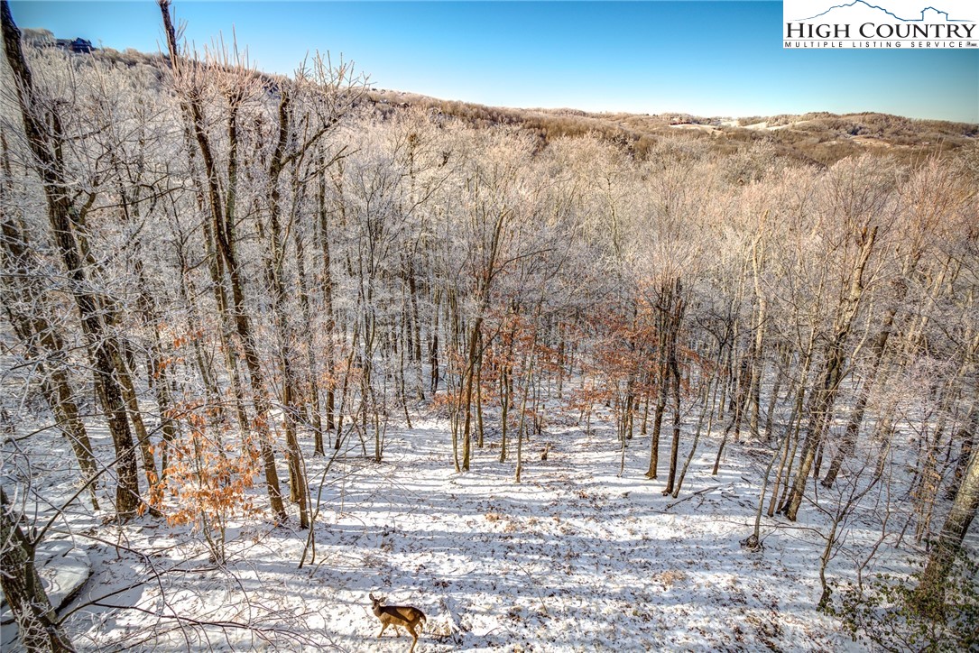 523 Pine Ridge Road Beech Mountain, NC 28604 - Photo 36 of 42 a view of a yard with trees in the background