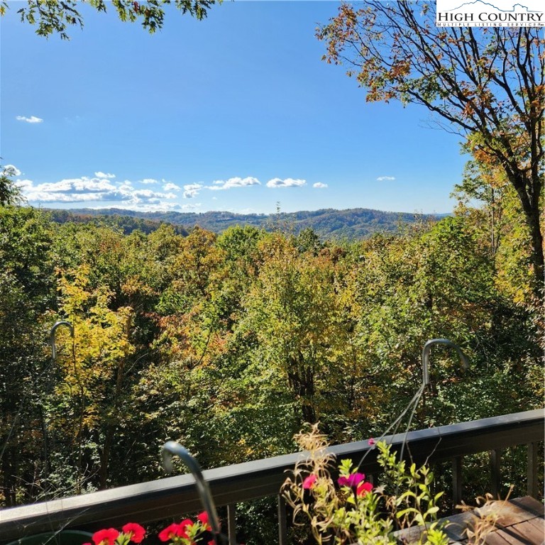 523 Pine Ridge Road Beech Mountain, NC 28604 - Photo 4 of 42