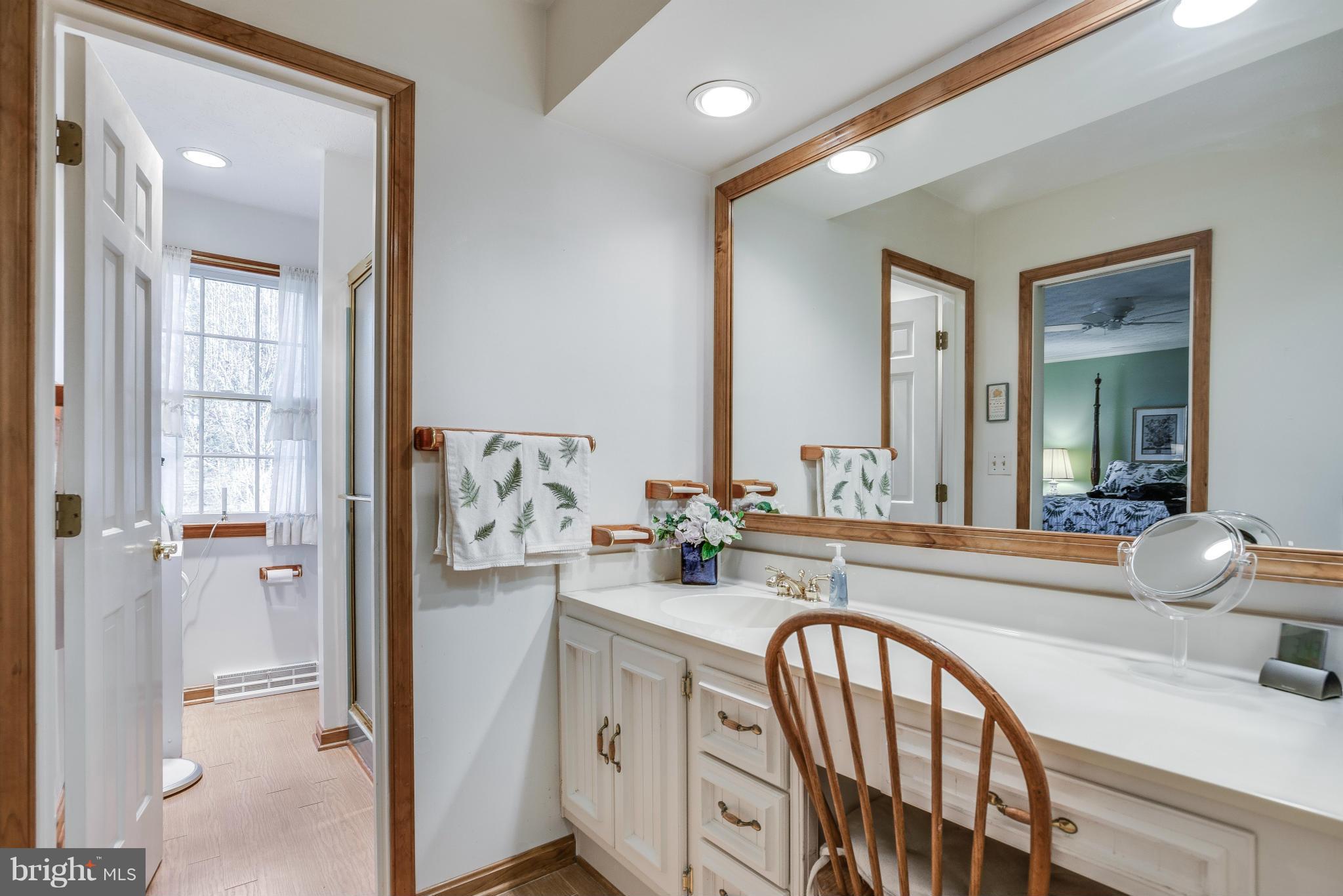 19003 Graystone Road White Hall, MD 21161 - Photo 14 of 21 a bathroom with a sink a mirror and a bathtub