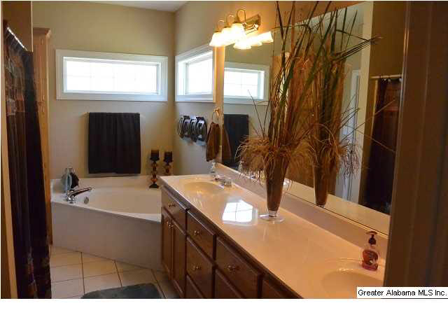 410 Trellis Circle Springville, AL 35146 - Photo 17 of 25